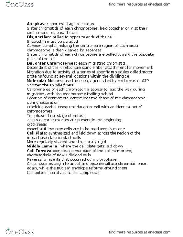 BIL 250 Lecture Notes - Lecture 14: Sister Chromatids, Cell Plate, Separase thumbnail