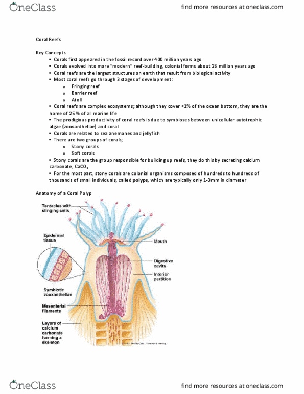 01:460:120 Lecture Notes - Lecture 21: Scleractinia, Fringing Reef, Autotroph thumbnail