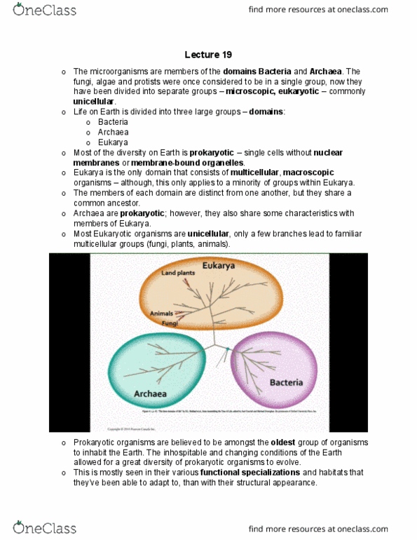 Biol Final Final Exam Note Package Lectures Oneclass