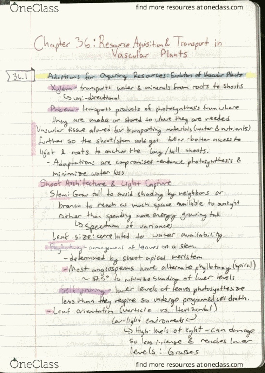BIO 311D Chapter Notes - Chapter 36: Casparian Strip, Synthes, Asteroid Family thumbnail
