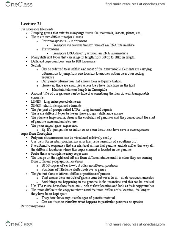 Biology 2581B Lecture Notes - Lecture 21: Reverse Transcriptase, Transposable Element, Retrotransposon thumbnail