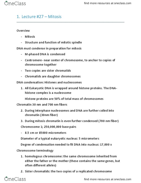 BIO 201 Lecture Notes - Lecture 27: Sister Chromatids, Spindle Apparatus, Dna Condensation thumbnail
