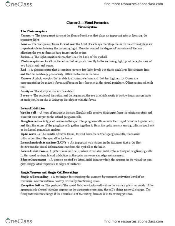 AUPSY102 Chapter Notes - Chapter 3: Lateral Geniculate Nucleus, Parvocellular Cell, Visual Acuity thumbnail