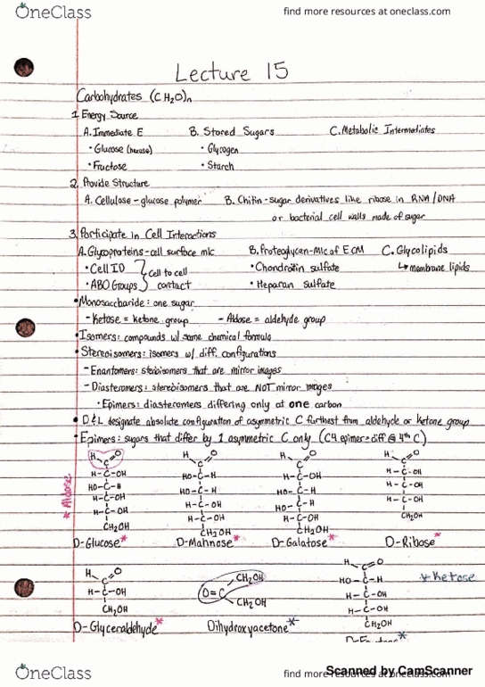 BMB 401 Lecture 15: Carbohydrates thumbnail