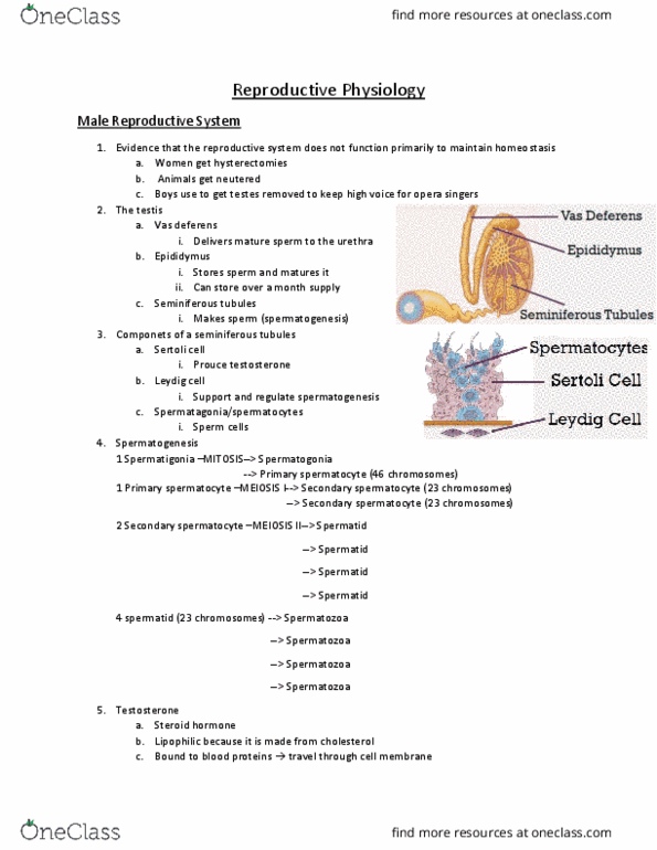 document preview image