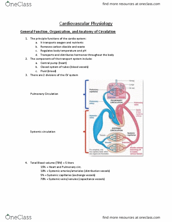 Physiology 1021 Lecture Notes - Lecture 6: Circulatory System, Blood Vessel, Closed System thumbnail