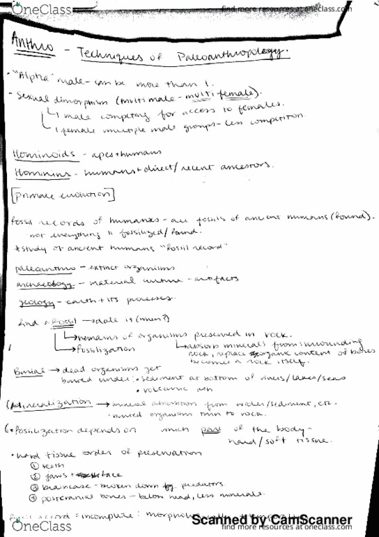 ANTH 1200 Lecture 16: techniques of paleoanthropology thumbnail