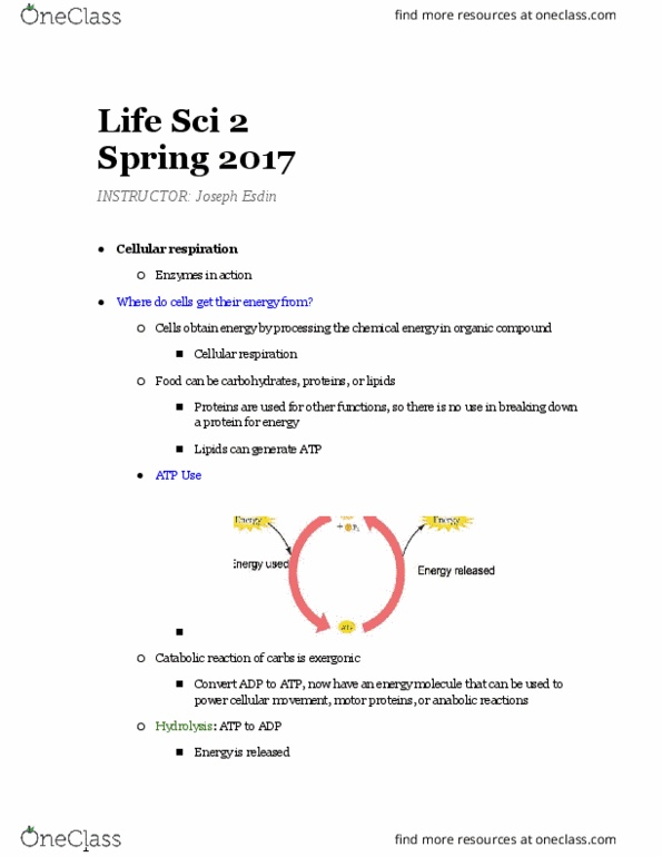 LIFESCI 2 Lecture Notes - Lecture 8: Cellular Respiration, Organic Compound, Hydrolysis thumbnail