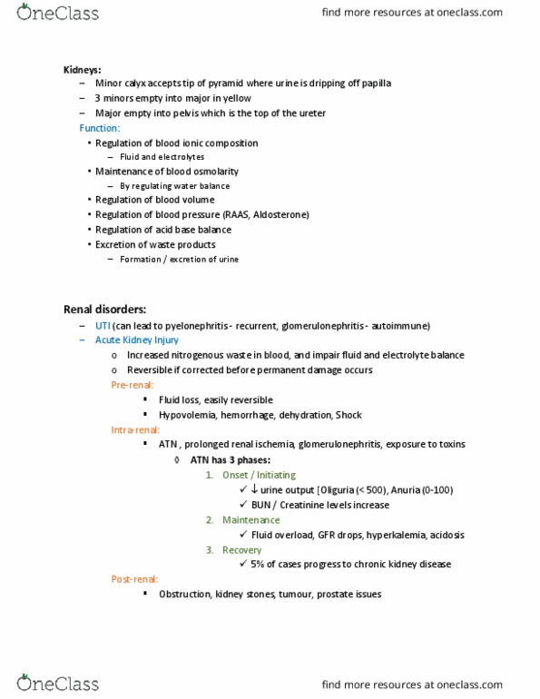 NURS113 Lecture Notes - Lecture 9: Renal Calyx, Kidney Stone Disease, Glomerulonephritis thumbnail