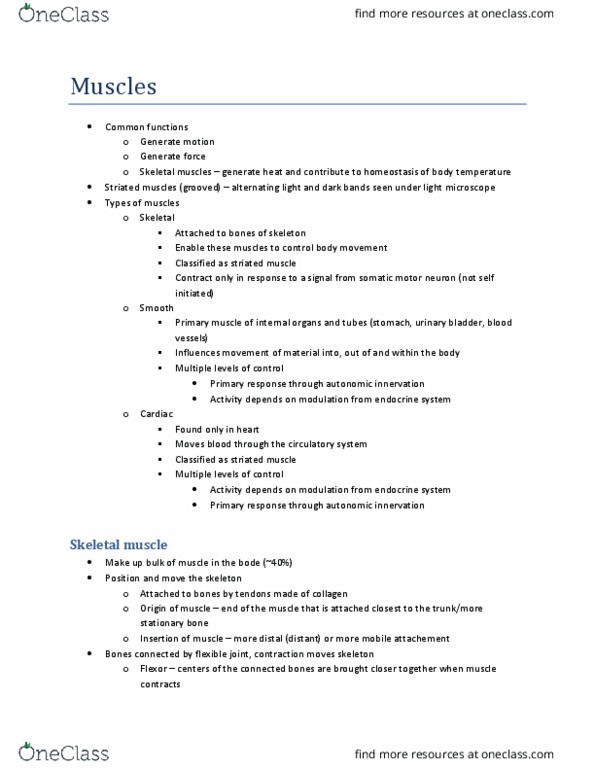 BIOL273 Lecture Notes - Lecture 3: Cardiac Muscle, Smooth Muscle Tissue, Muscle Contraction thumbnail