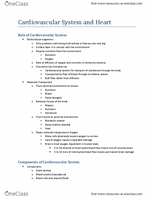 BIOL273 Lecture Notes - Lecture 4: Surface Layer, Heart Rate, Atrioventricular Node thumbnail