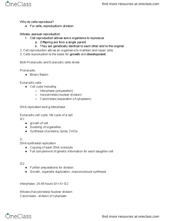 BIOL 190 Lecture Notes - Lecture 18: Cell Cycle, Eukaryote, Cytokinesis thumbnail