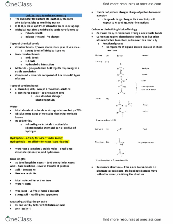 BIOL130 Lecture Notes - Lecture 14: Chemical Polarity, Bond Length, Acid Strength thumbnail