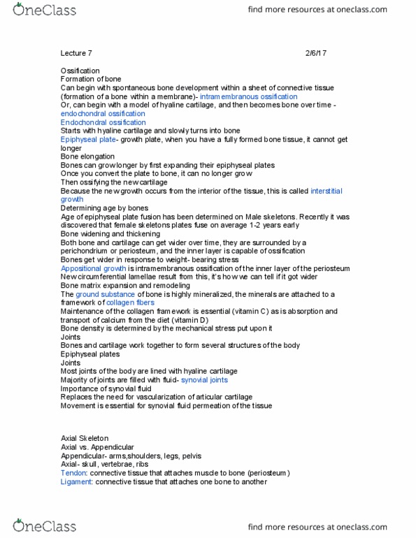 CAS BI 106 Lecture Notes - Lecture 7: Intramembranous Ossification, Endochondral Ossification, Hyaline Cartilage thumbnail