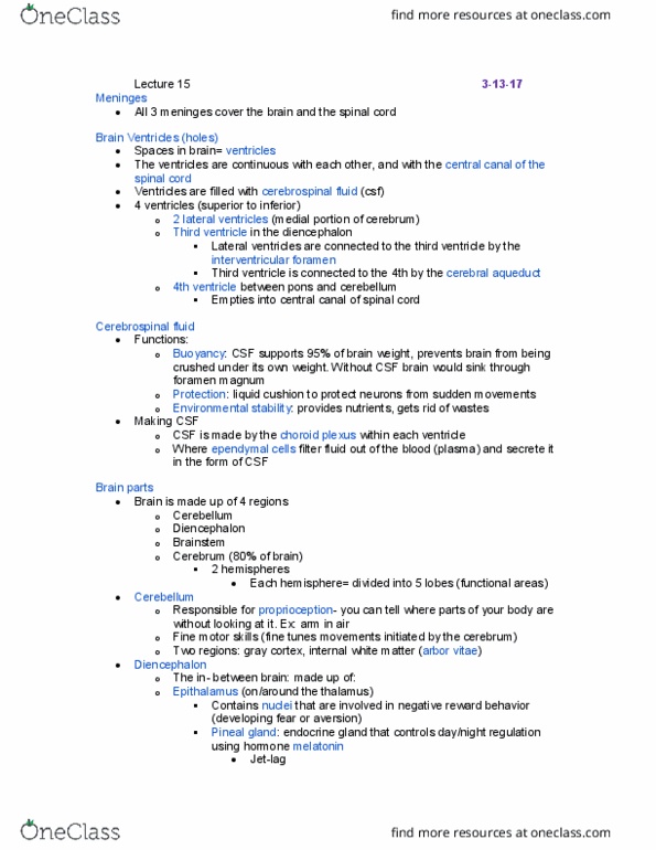 CAS BI 106 Lecture Notes - Lecture 15: Foramen Magnum, Choroid Plexus, Cerebrospinal Fluid thumbnail