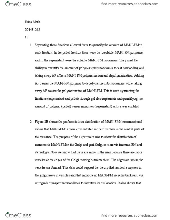 MCD BIO 165A Lecture Notes - Lecture 11: Stereology, Western Blot, Cisterna thumbnail