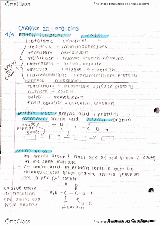 CHEM 221 Lecture 4: Chapter 20 Lecture 4 Notes thumbnail