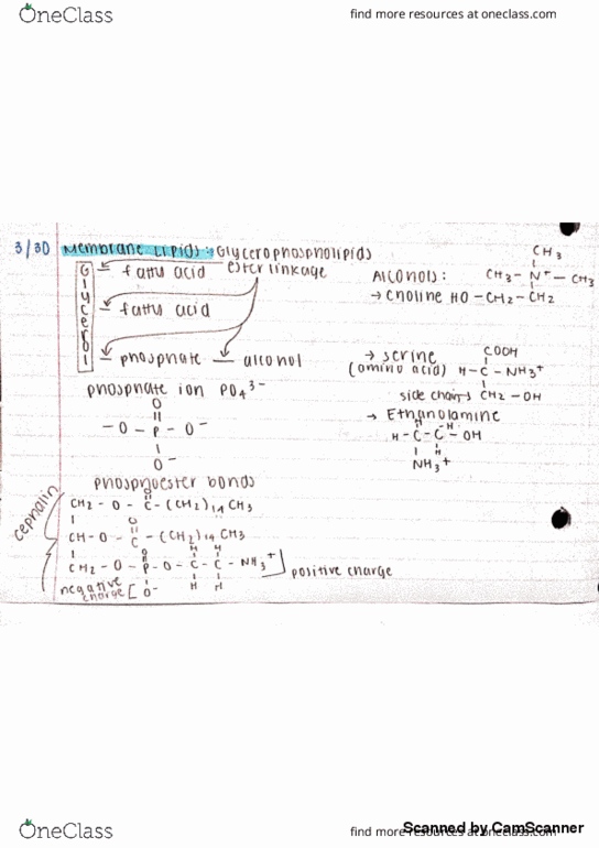 CHEM 221 Lecture 3: Chapter 19 Lecture 3 Notes thumbnail