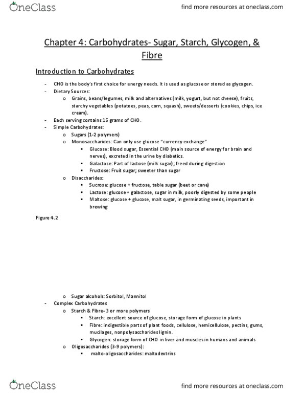 Foods and Nutrition 1021 Chapter Notes - Chapter 4: Dietary Fiber, Powdered Sugar, Blood Sugar thumbnail