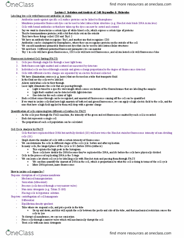 Biology 2290F/G Lecture Notes - Lecture 3: Hoechst Stain, Cd90, Differential Centrifugation thumbnail