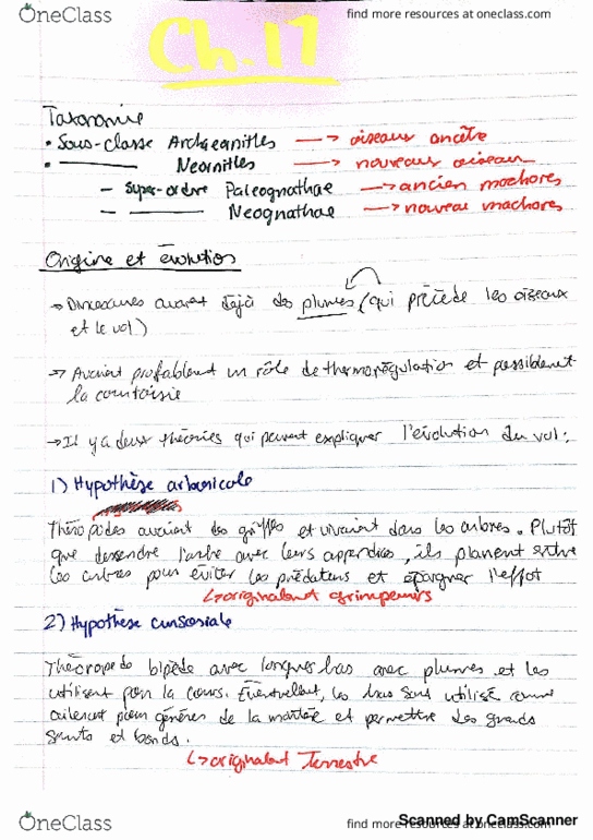 BIO 2535 Lecture 25: Aves thumbnail