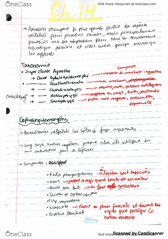 BIO 2535 Lecture 22: Poissons thumbnail