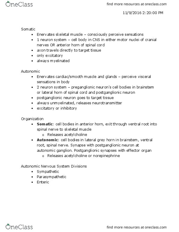 KINESIOL 1A03 Lecture Notes - Lecture 3: Cell Membrane, Autonomic Ganglion, Spinal Nerve thumbnail