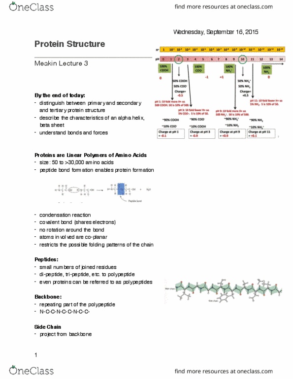 Biochemistry 2280A Lecture Notes - Lecture 4: Proline, Van Der Waals Force, Aromatase thumbnail