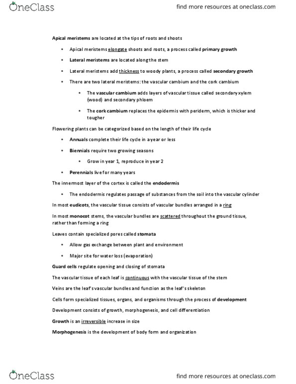 BSC 196 Lecture Notes - Lecture 22: Gynoecium, Stamen, Zygote thumbnail