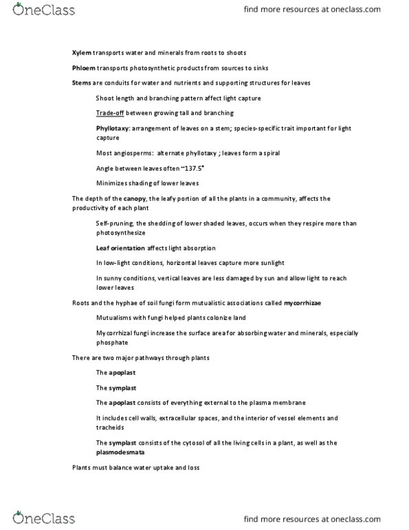 BSC 196 Lecture Notes - Lecture 23: Active Transport, Transpiration, Protoplast thumbnail