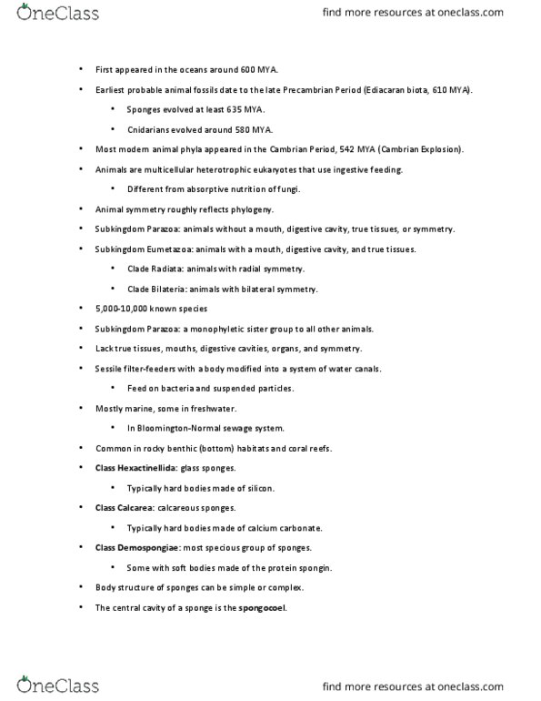 BSC 196 Lecture Notes - Lecture 10: Mesoglea, Body Plan, Sea Pansy thumbnail