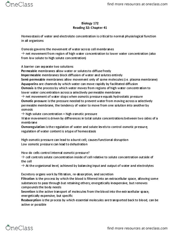 BIOLOGY 172 Chapter Notes - Chapter Ch. 41: Distal Convoluted Tubule, Extracellular Fluid, Posterior Pituitary thumbnail