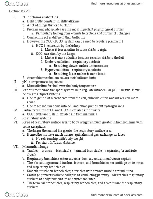 BISC306 Lecture Notes - Lecture 27: Surface Tension, Internal Intercostal Muscles, Pulmonary Artery thumbnail