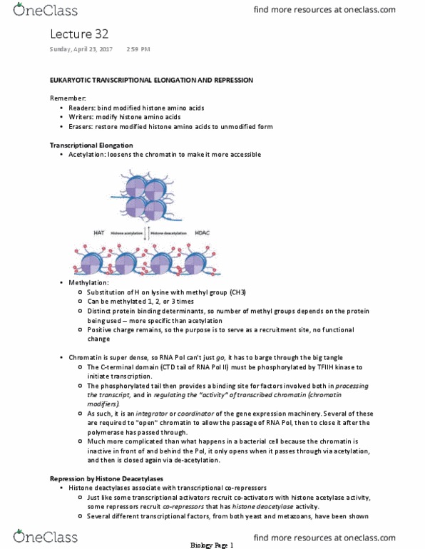 Biology And Biomedical Sciences BIOL 2960 Lecture Notes - Lecture 32: Xist (Gene), Non-Coding Rna, X-Inactivation thumbnail