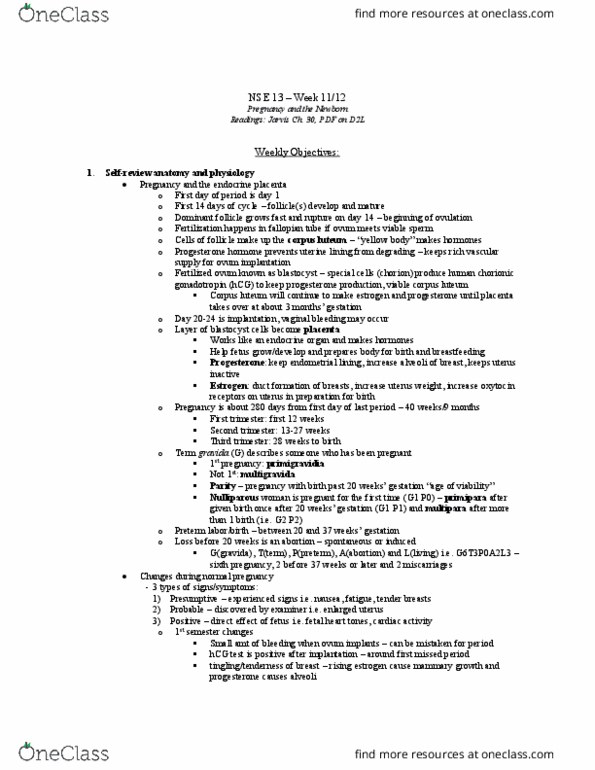 NSE 13A/B Chapter 30: NSE 13 Week 11&12 PREGNANCY AND NEONATE JARVIS NOTES thumbnail