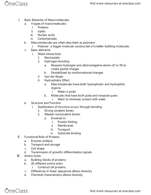 BIO 311 Lecture Notes - Lecture 1: Amine, Alpha And Beta Carbon, Reaction Rate thumbnail