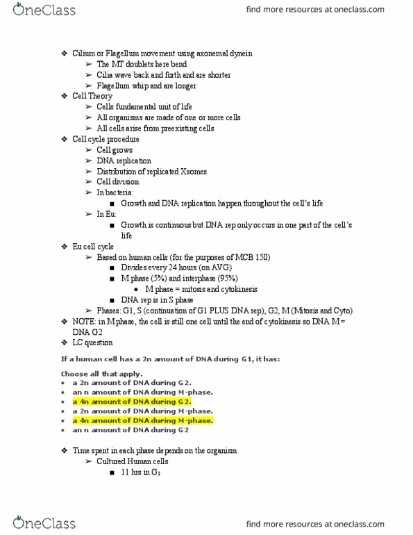 MCB 150 Lecture Notes - Lecture 34: Thymine, Thymidine Triphosphate, Glycolysis thumbnail