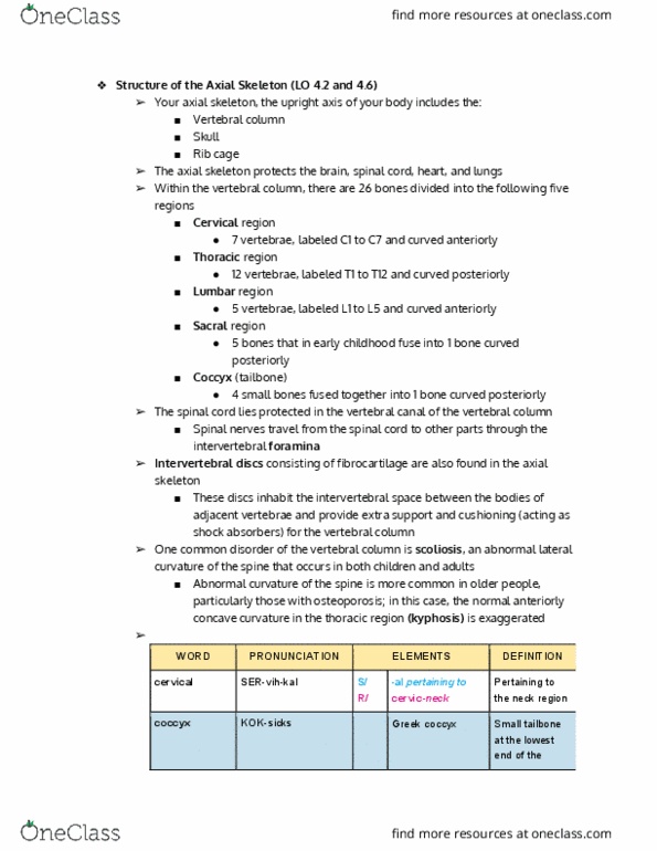 OT 215 Chapter Notes - Chapter 4.2: Ethmoid Bone, Sphenoid Bone, Cranial Cavity thumbnail