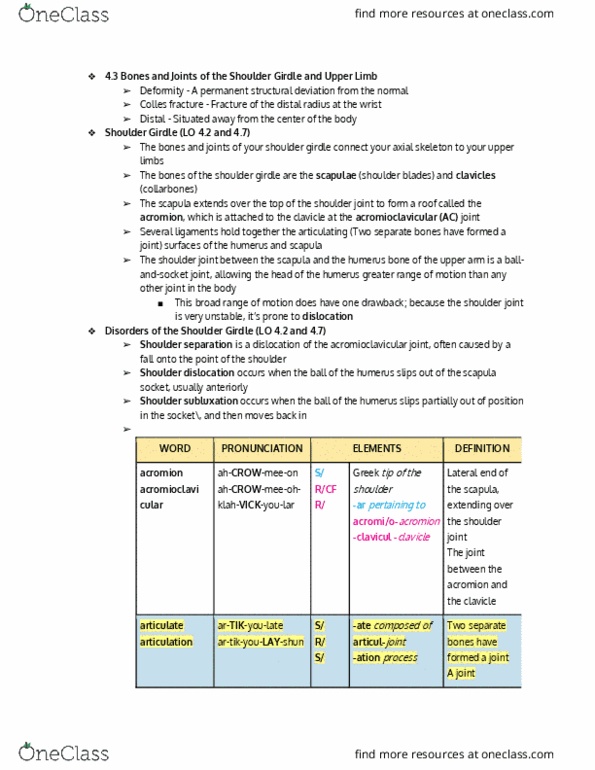 OT 215 Chapter Notes - Chapter 4.3: Carpal Tunnel Syndrome, Metacarpal Bones, Carpal Bones thumbnail