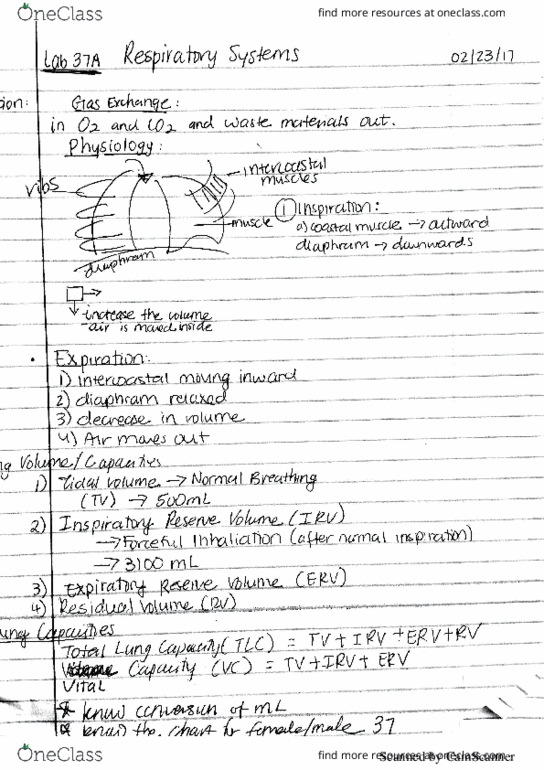 BIOL 1144 Lecture 22: resp system thumbnail