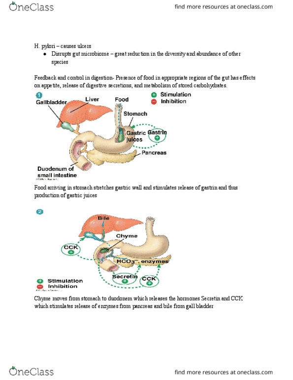 document preview image