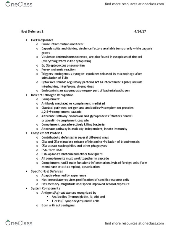 BSCI 283 Lecture Notes - Lecture 20: B Cell, Epitope, T Cell thumbnail