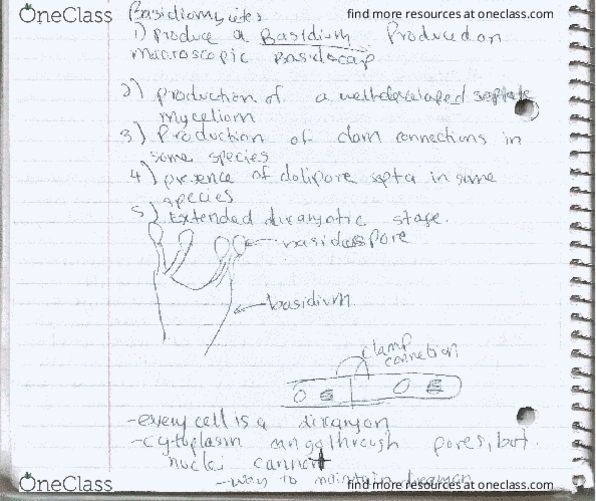 BESC 204 Lecture Notes - Lecture 3: Jtl, Joule thumbnail
