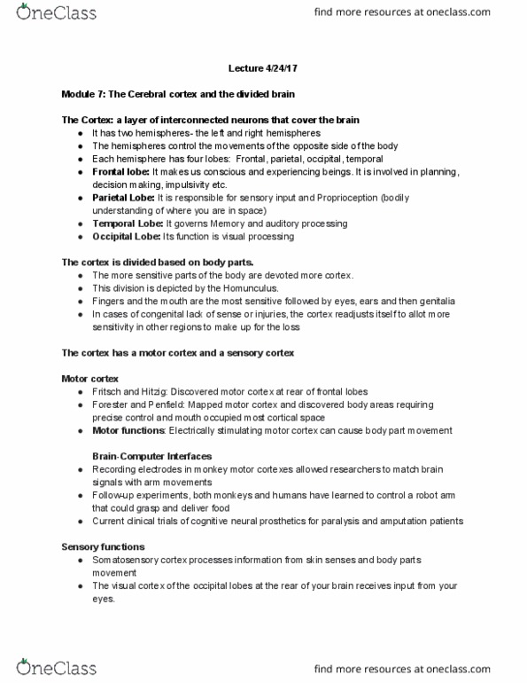 PSYCH 10 Lecture Notes - Lecture 5: Reading Disability, Handedness, Neurogenesis thumbnail