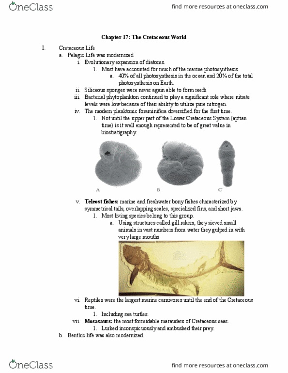 ENVS 222 Lecture Notes - Lecture 15: Plankton, Deccan Plateau, Ammonoidea thumbnail