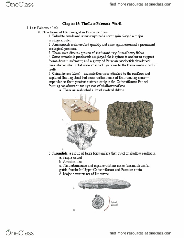 ENVS 222 Lecture Notes - Lecture 14: Taconic Orogeny, Cyclothems, Passive Margin thumbnail