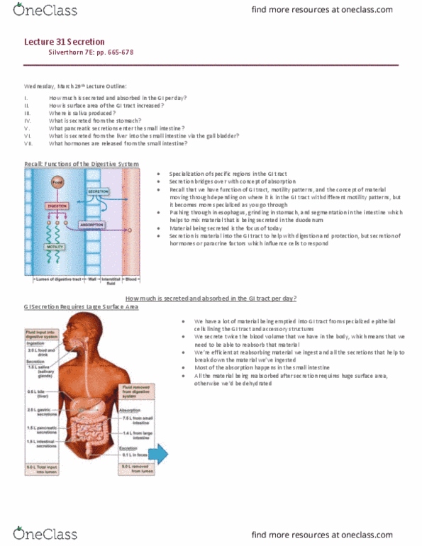 PSL301H1 Lecture Notes - Lecture 31: Peptic Ulcer, Cholecystokinin, Bilirubin thumbnail