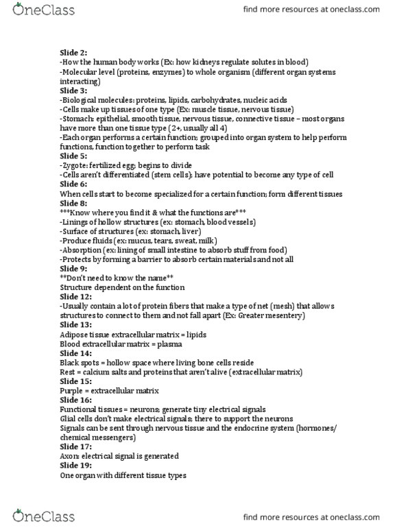 BIOL 2213 Lecture Notes - Lecture 6: Homeostasis, Fluid Compartments, Trachea thumbnail