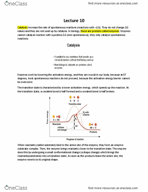 BIOL 112 Lecture Notes - Lecture 10: Atp Hydrolysis, Royal Aircraft Factory F.E.2, Cellular Respiration thumbnail