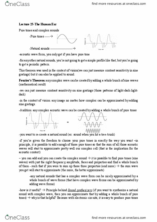 01:830:301 Lecture Notes - Lecture 25: Tonotopy, Retinotopy, Retina thumbnail